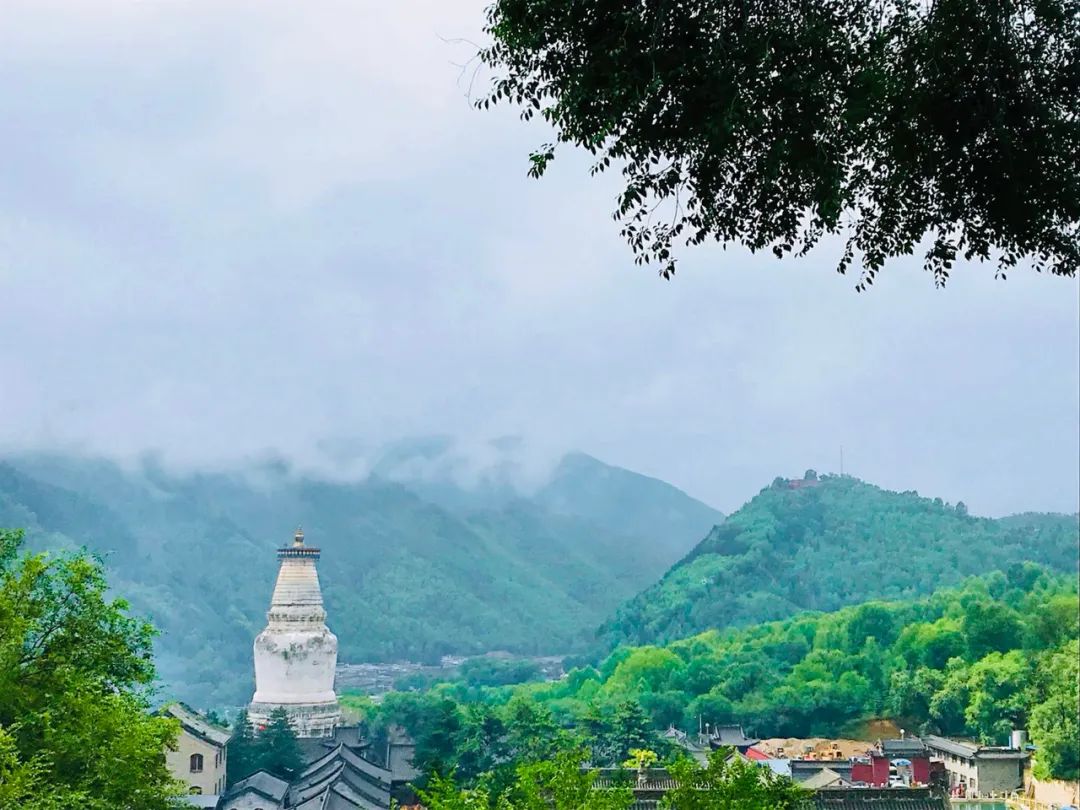 跨省團隊旅遊恢復，我第一個想去的是這裡，連空氣都讓人向往…… 旅遊 第43張