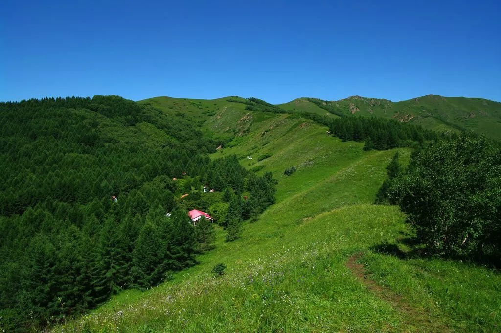 人均幾十元起的暑假寶藏旅遊，涼爽又養眼，第一個就超想去…… 旅遊 第10張