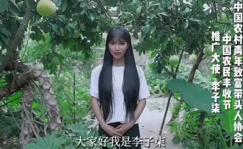 停更两年多,谁在等李子柒?