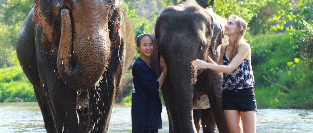 【Thailand】5 Day Amazing Chiang Mai Tour with Elephant Sanctuary