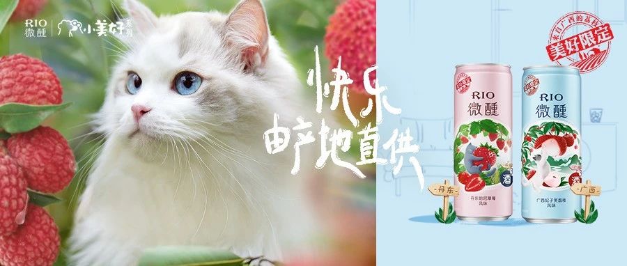 RIO微醺X天猫小黑盒：产地限定风味，开拓低度酒中国风味版图
