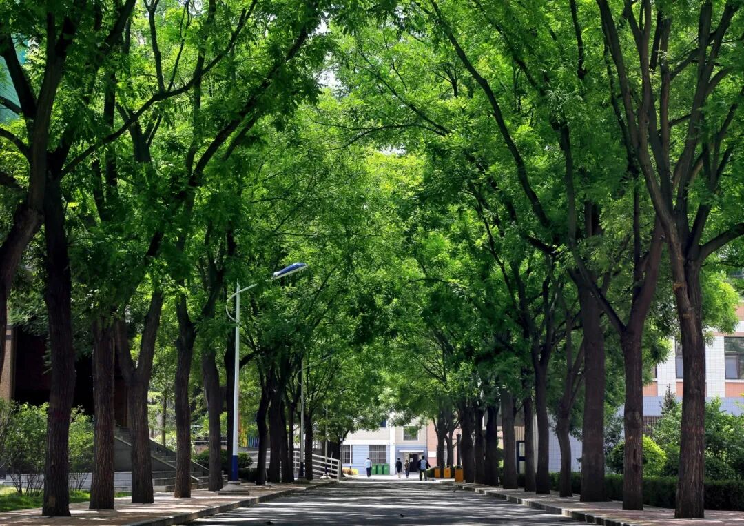 招聘网_招聘网boss直聘_招聘