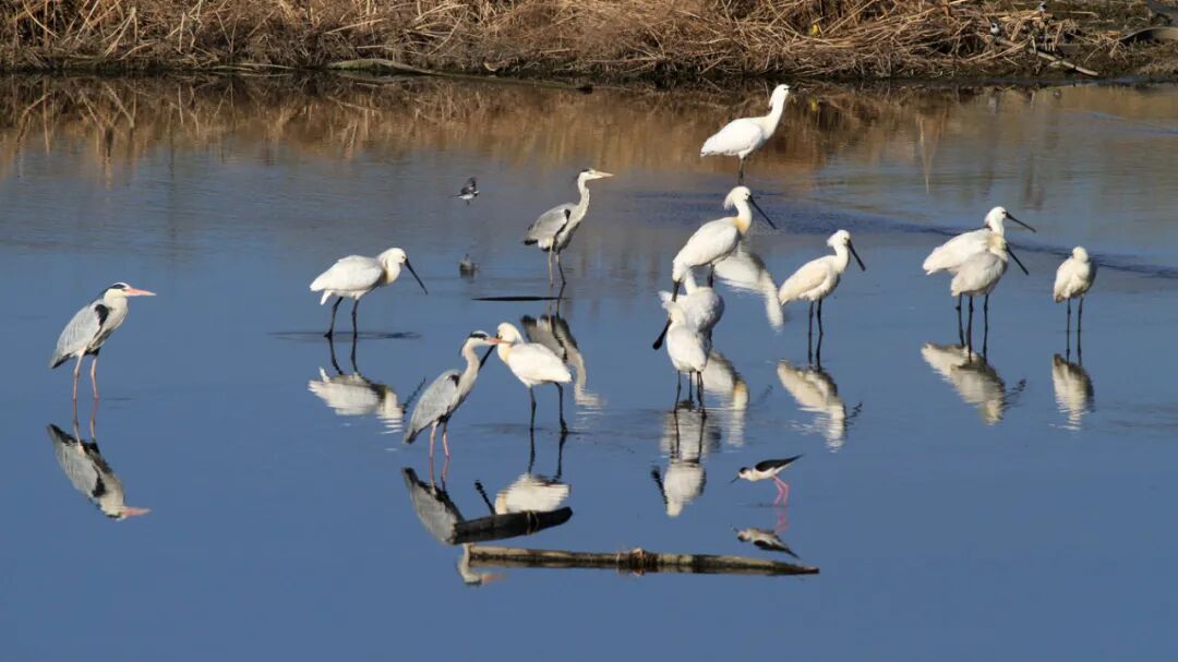 河北的国家4A级旅游景区又上新啦