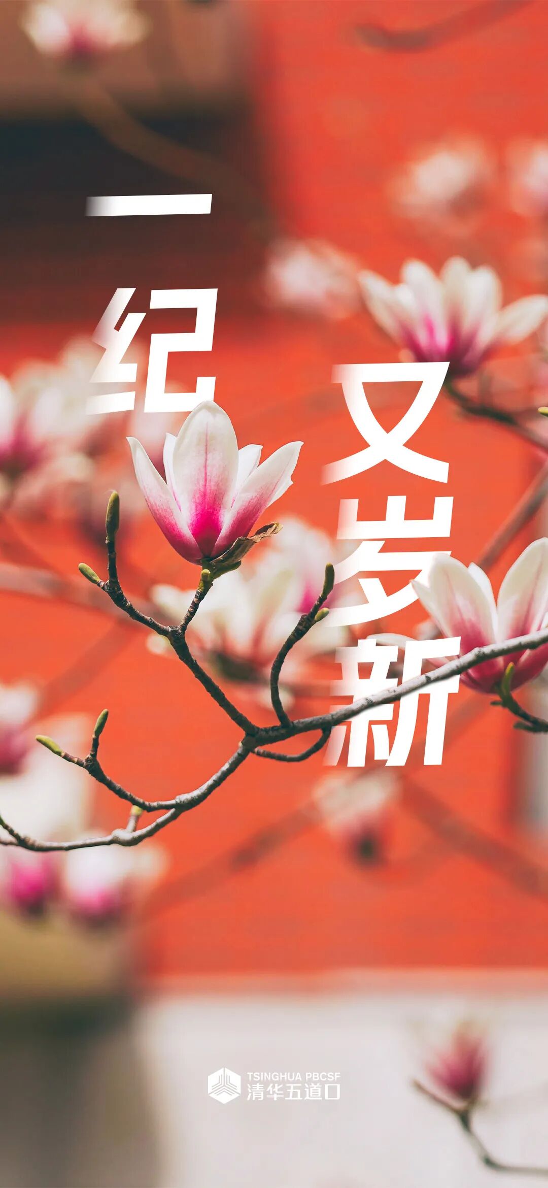 爱上清华五道口不止春色丨手机壁纸上新