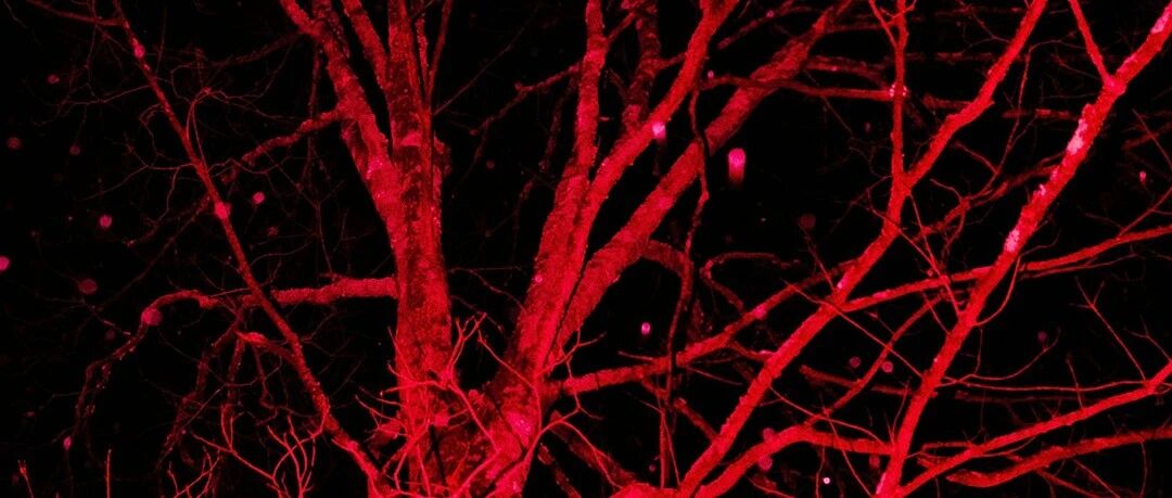 03301-shareios26氛围感壁纸