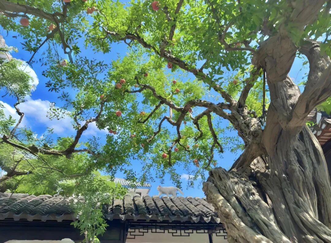电脑 4k超清风景壁纸