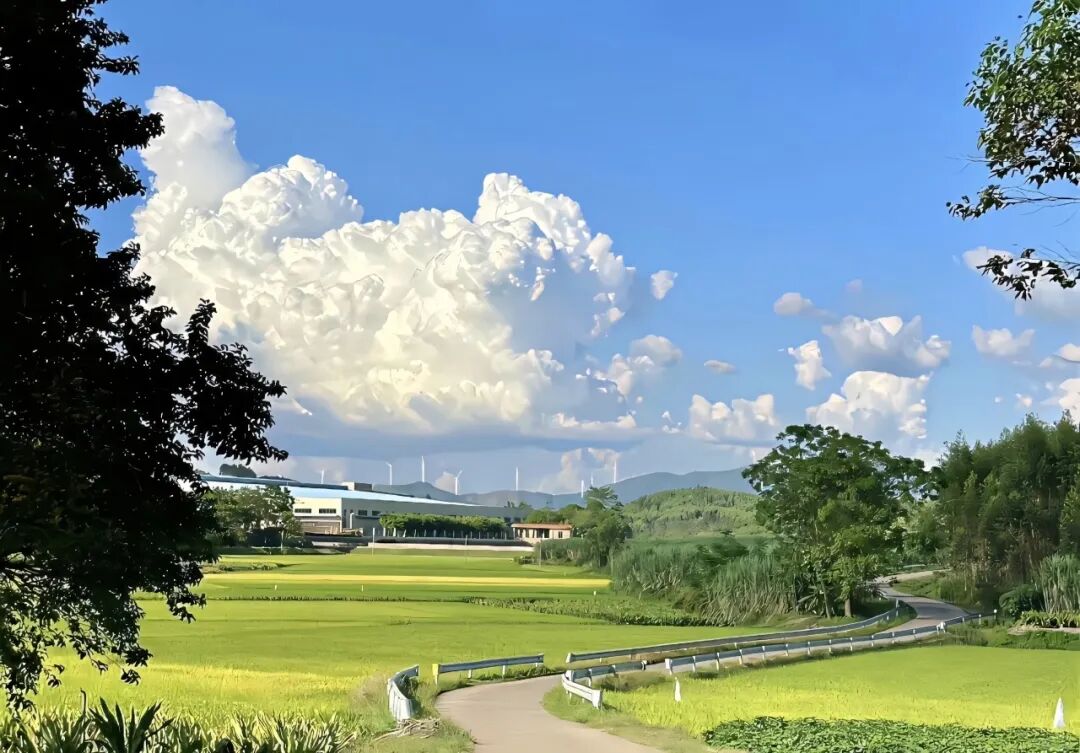 电脑 4k超清风景壁纸