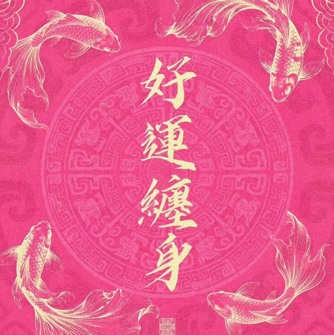 wallpaper｜透光实用分区手机壁纸