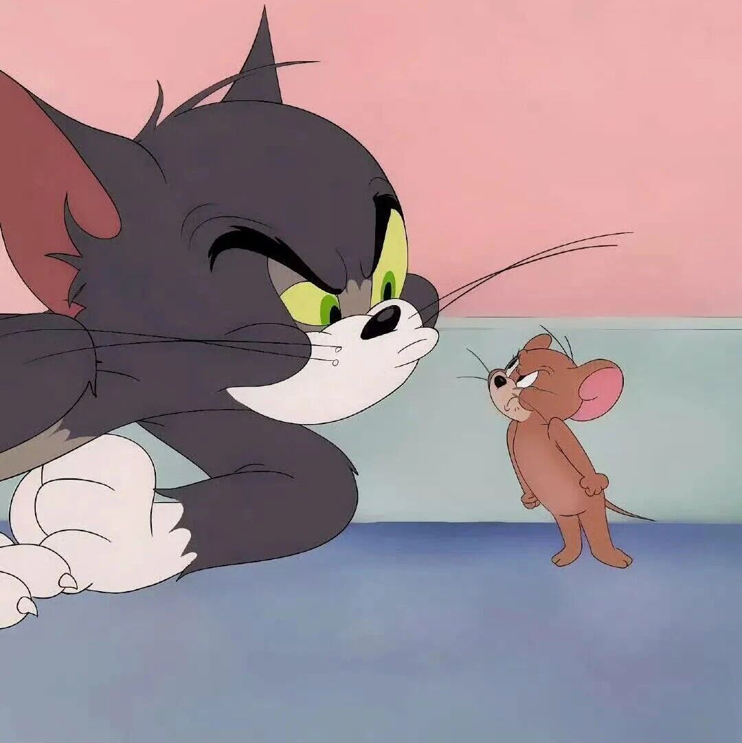 wallpaper｜有趣灵动岛全屏手机壁纸