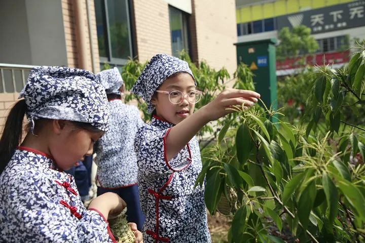 天文学新闻2020年_天文学要闻_关于天文学的新闻