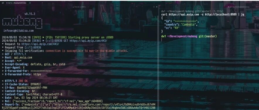 Example Image