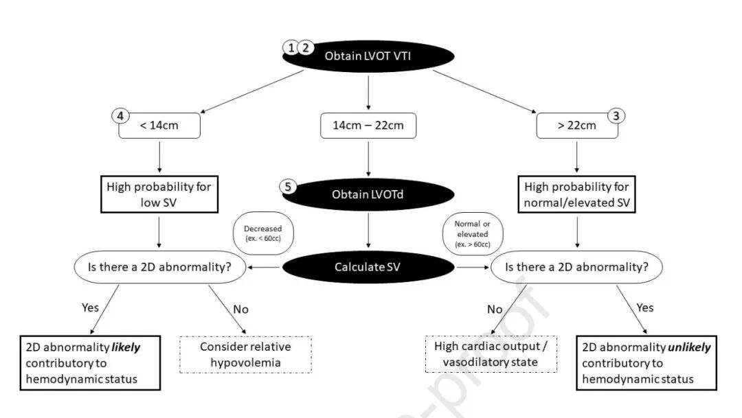 chest怎么量如何通过超声心动图测定每搏量？（CHEST 译文）_https://www.jmylbn.com_新闻资讯_第11张