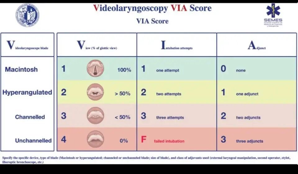 喉镜镜片怎么选插管用可视喉镜——国际气道专家小组指南_https://www.jmylbn.com_新闻资讯_第11张