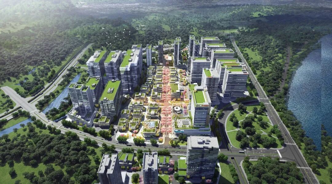 园区效果图产业发展强劲,聚集度高,人才需求旺盛,吸附力强.