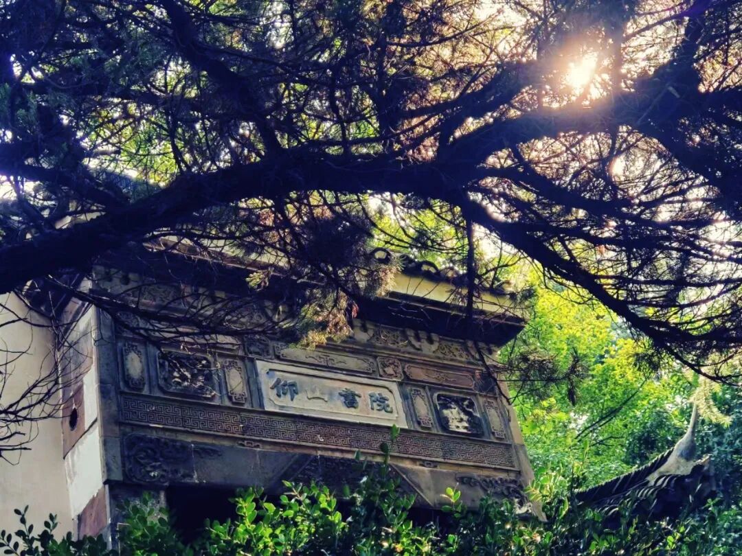 海宁中学2026年代课教师招聘公告