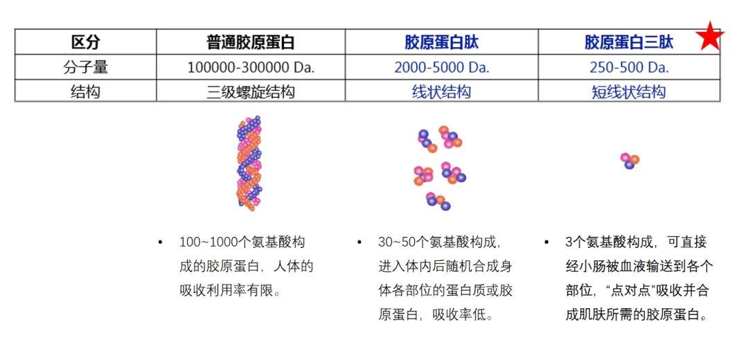 保健盒携带品有哪些_保健品携带盒_保健盒携带品类有哪些
