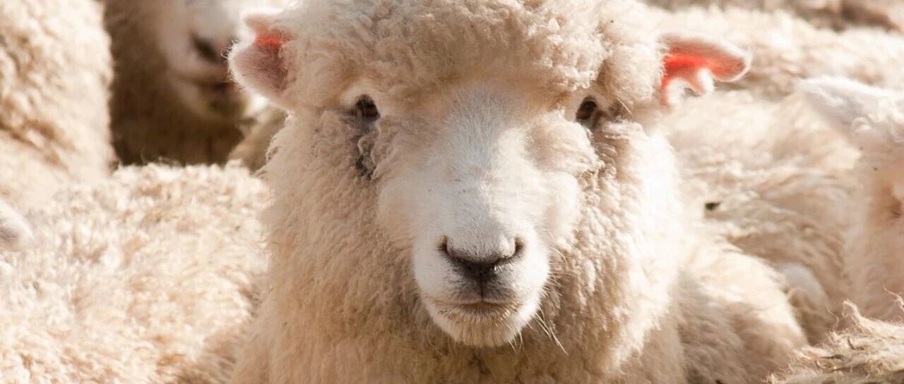 速来！8。8红包限量抢，还有最高100毛jd卡！