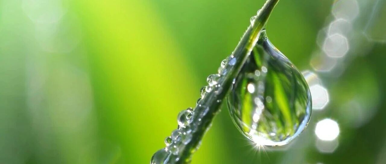 【建行放水新通道 登山失败转挚爱秒批攻略】分享建行大山白申卡被拒后，转战家庭挚爱卡成功案例，并提供申请建议与办卡渠道指引