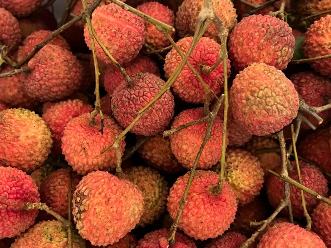 英语课学水果单词：Watermelon怎么读？轻松掌握发音与拼写技巧