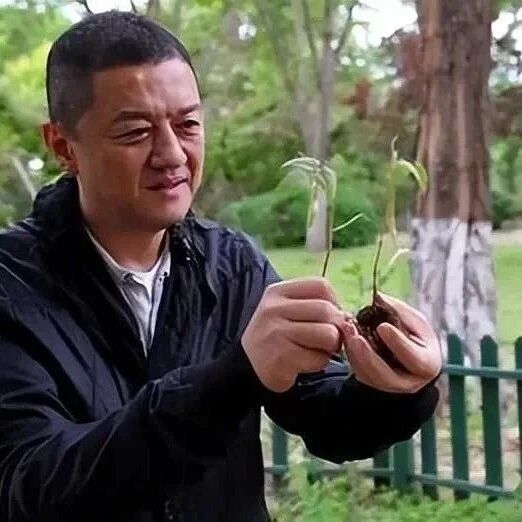 李亚鹏实惨!北京小院被铲平,抱娃含泪哭泣,急得额头鼓包