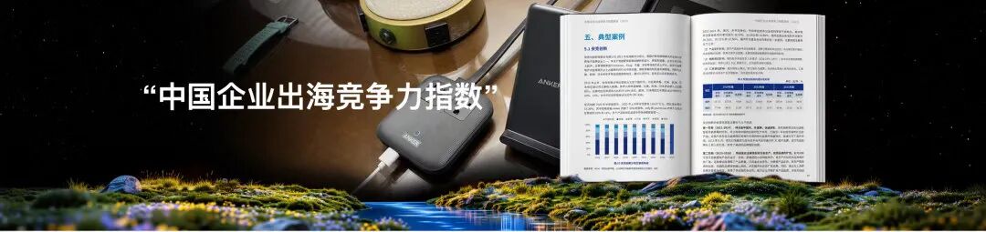 替换：出海竞争力指数图增加Anker产品背景（旧序号6/P15纯书页版被替换）