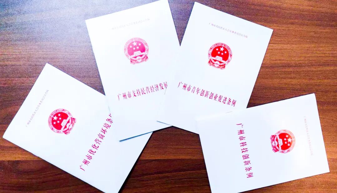 优化营商环境领域地方性法规文本展示