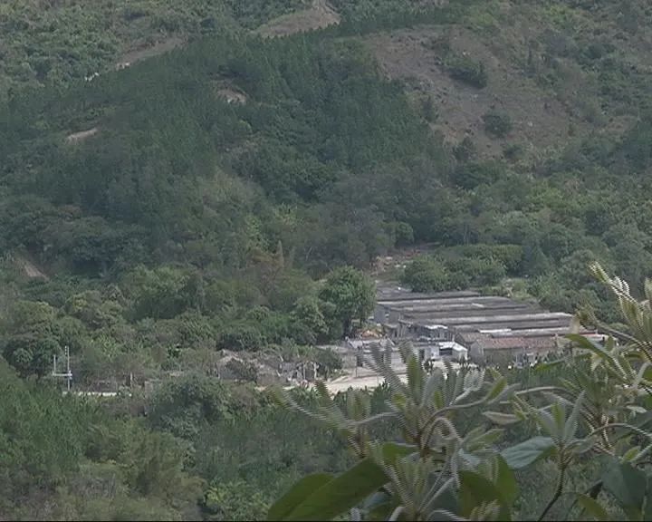 普宁市大南山街道茅坪村党支部书记 村委会主任 钟少波:来来往往的