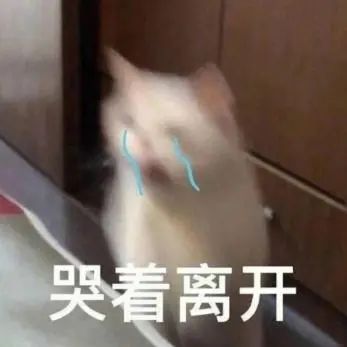 学新知识的英语_学新知识英语作文_英语作文知识学新概念好吗