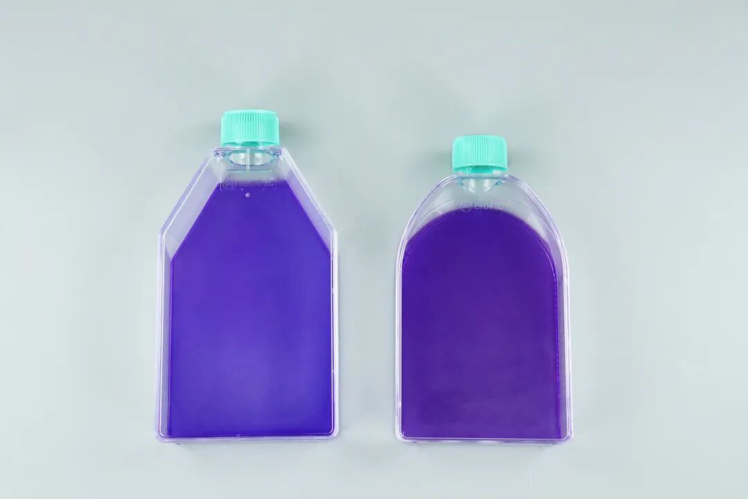 新品上線 | 潔特生物T150U形細胞培養瓶閃耀來襲！