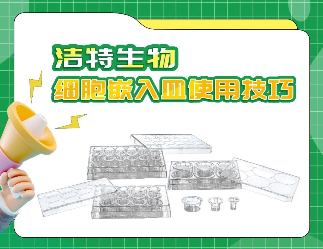 干貨來襲 | 如何用細胞嵌入皿玩轉細胞遷移/侵襲實驗！