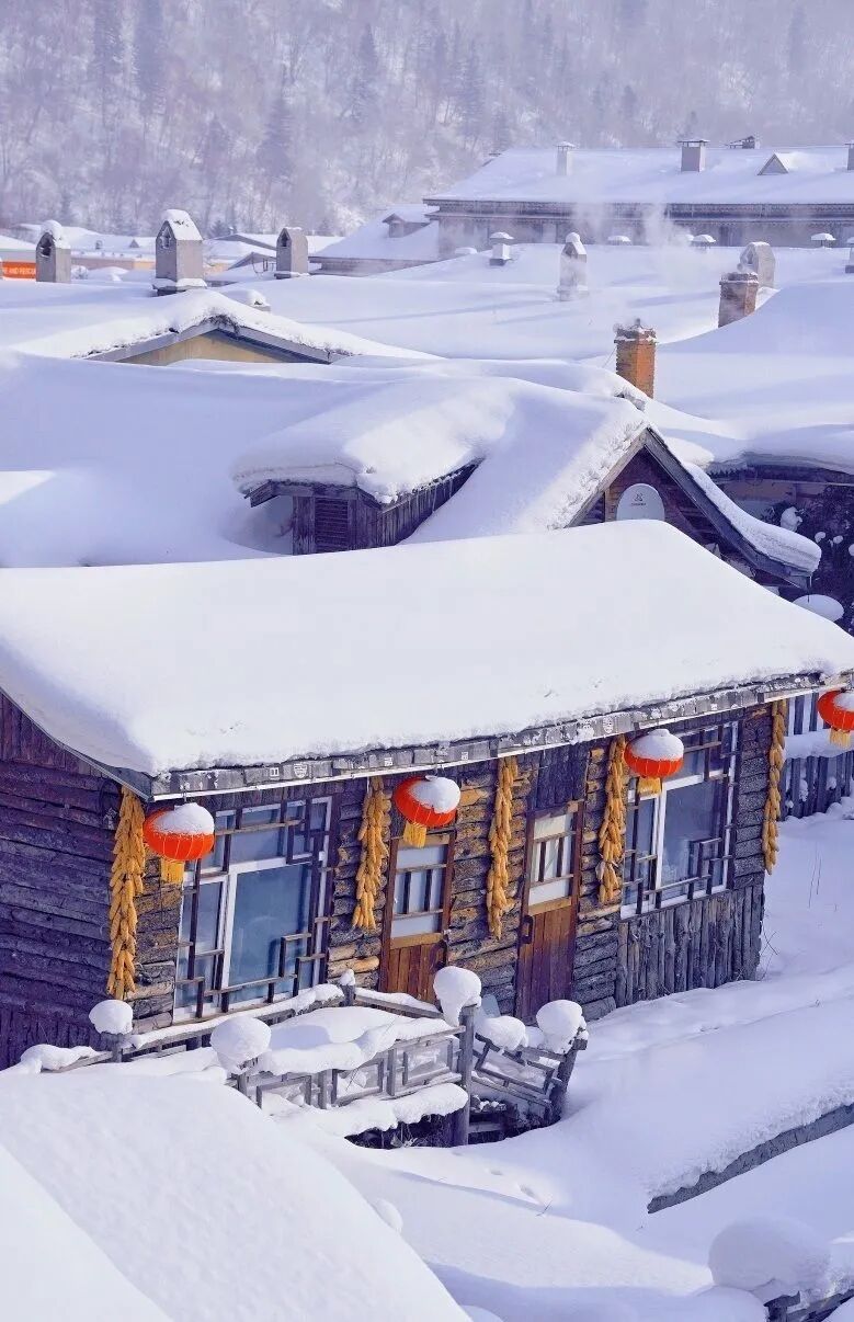 「踏雪寻美」冬天一定要来次雪乡……到雪乡旅游必须知道的攻略!