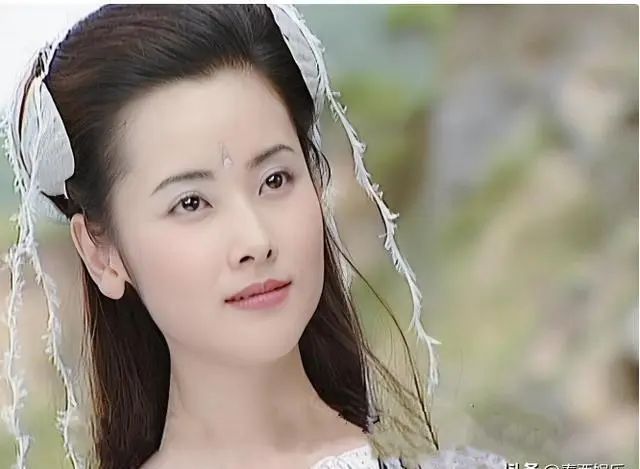 杨明娜:41岁结婚生子,44岁与田亮对簿公堂离婚,如今怎样