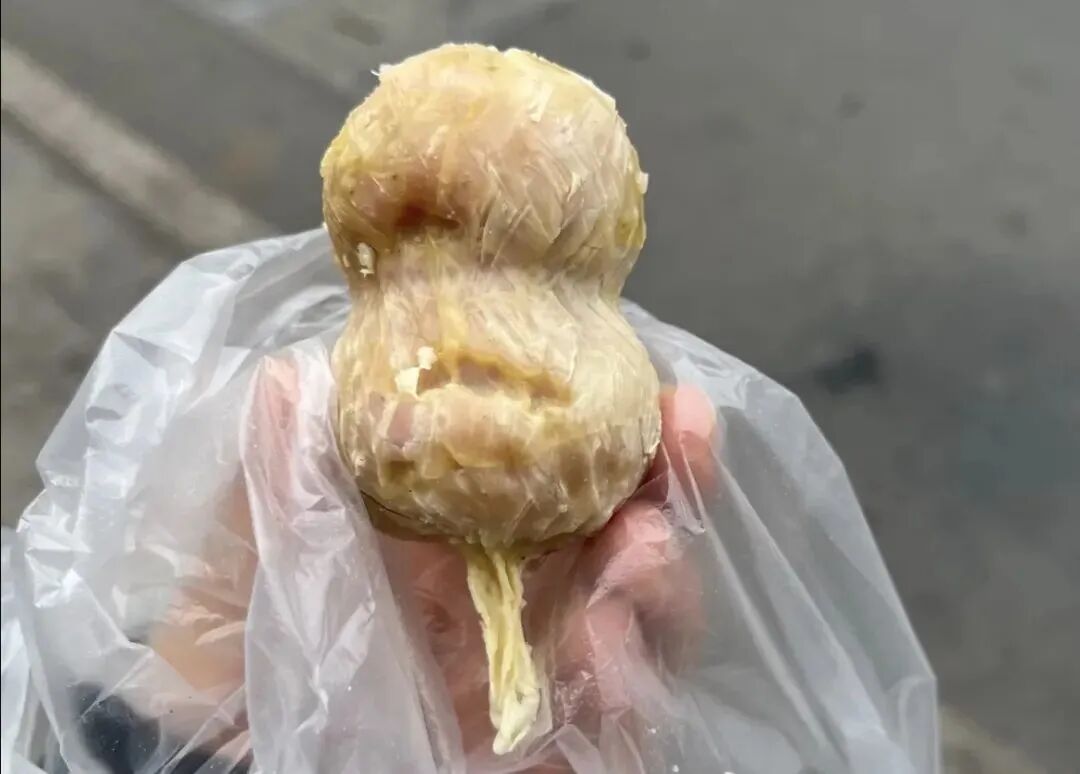 高铁3h直达，小吃10元管饱！不愧是文学届美食家笔下的宝藏县城！