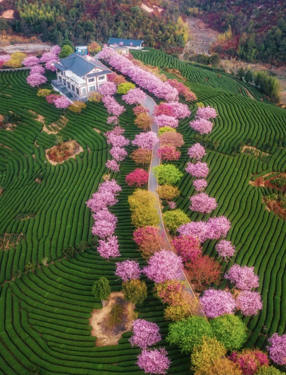 三省交接又找到一座冷门又好吃的小城，美食比厦门还王炸！