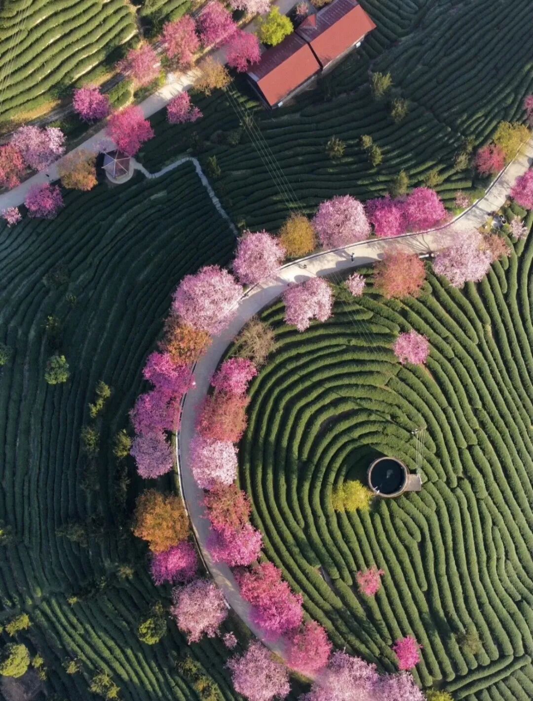 三省交接又找到一座冷门又好吃的小城，美食比厦门还王炸！
