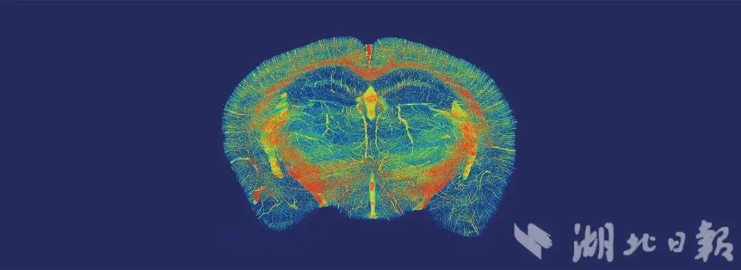 635f2773-e95c-41cd-b67e-0a9c20930348.jpg_1920xaf (1).jpg