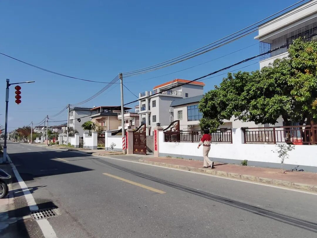 芦村村整洁的村道和规划整齐的农家院落。