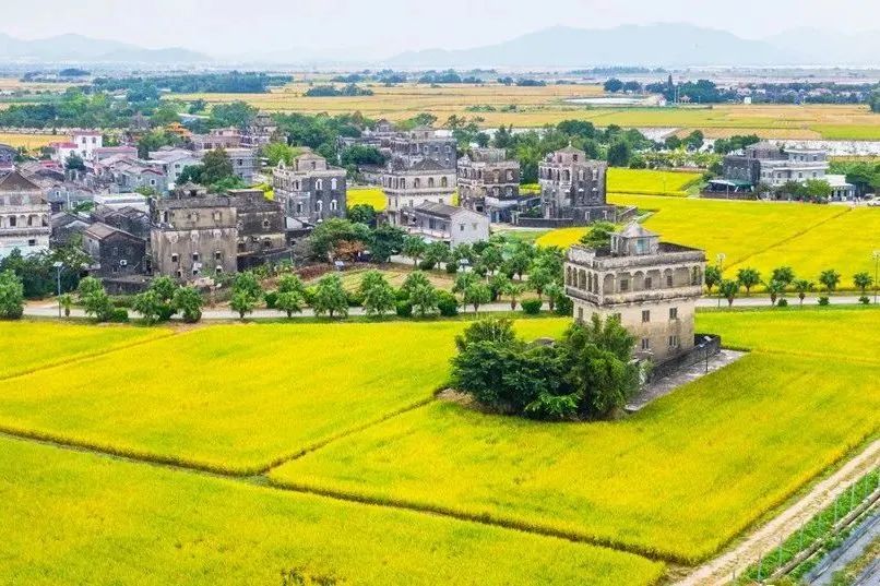 保姆级指导台山旅游(请坚持看完!