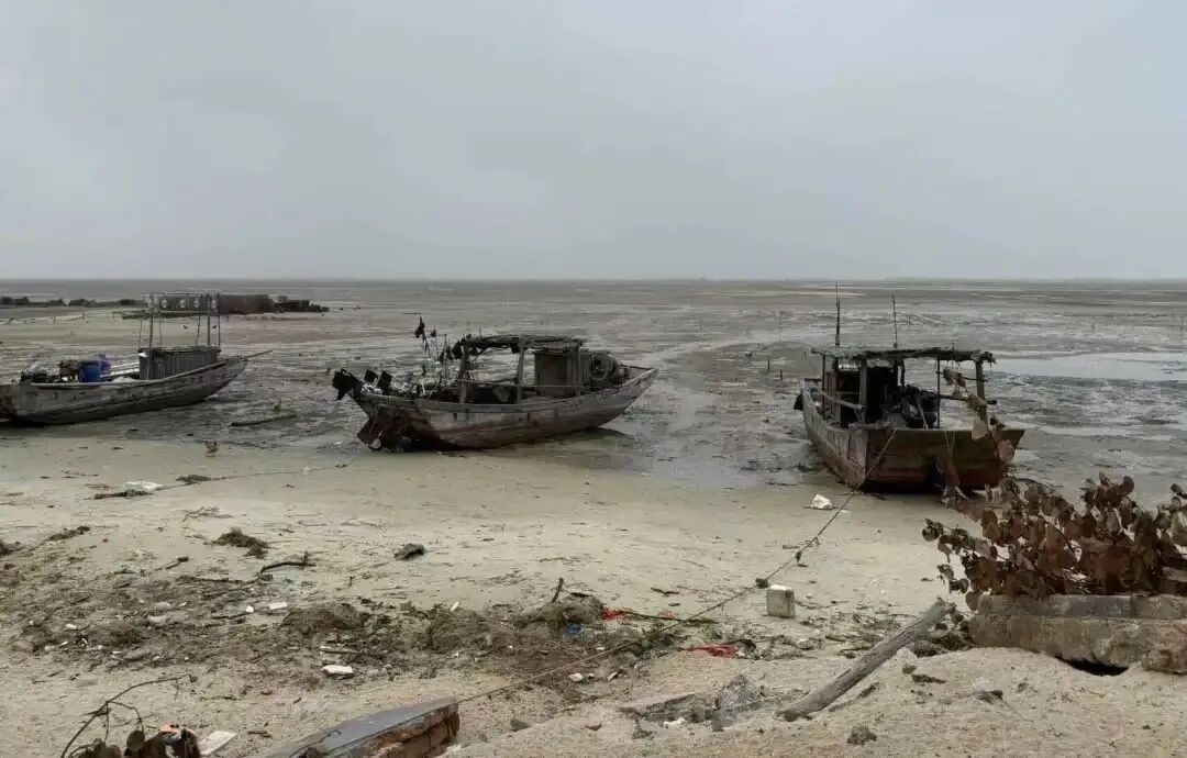 断亲，一个年轻人成为黑户的27年_https://www.izongheng.net_快讯_第5张