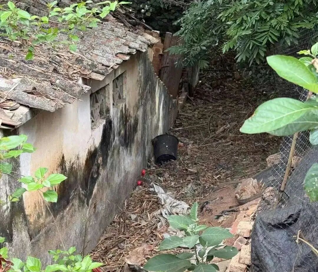 断亲，一个年轻人成为黑户的27年_https://www.izongheng.net_快讯_第6张