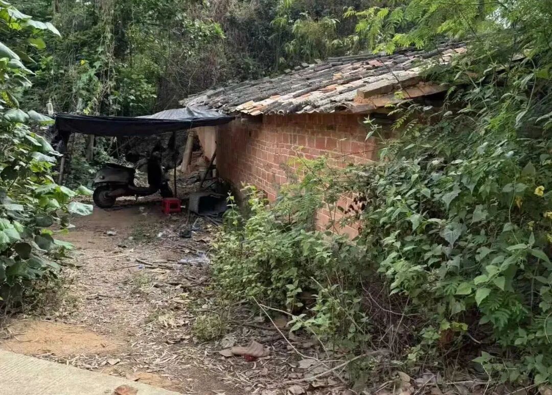 断亲，一个年轻人成为黑户的27年_https://www.izongheng.net_快讯_第11张