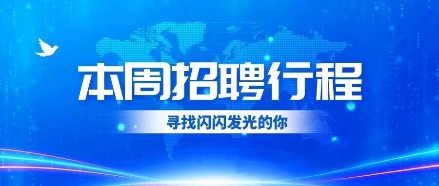 本周招聘行程