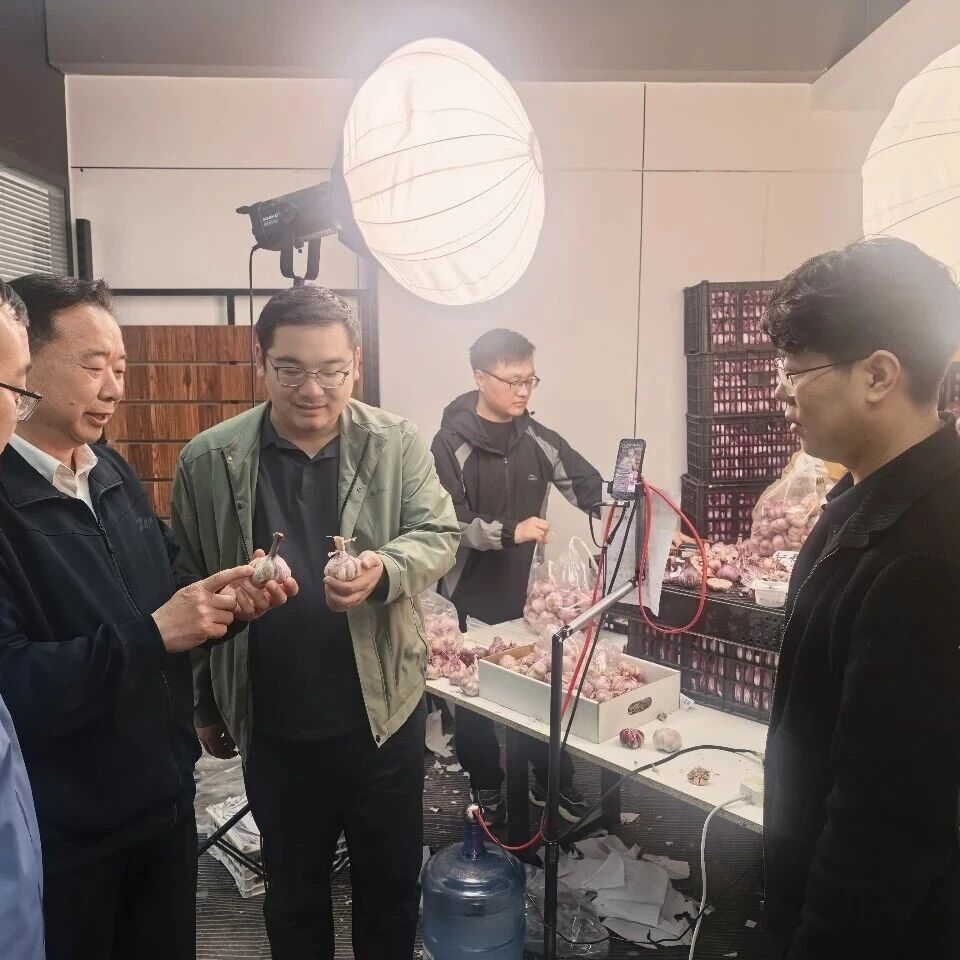 河南省浙江商会