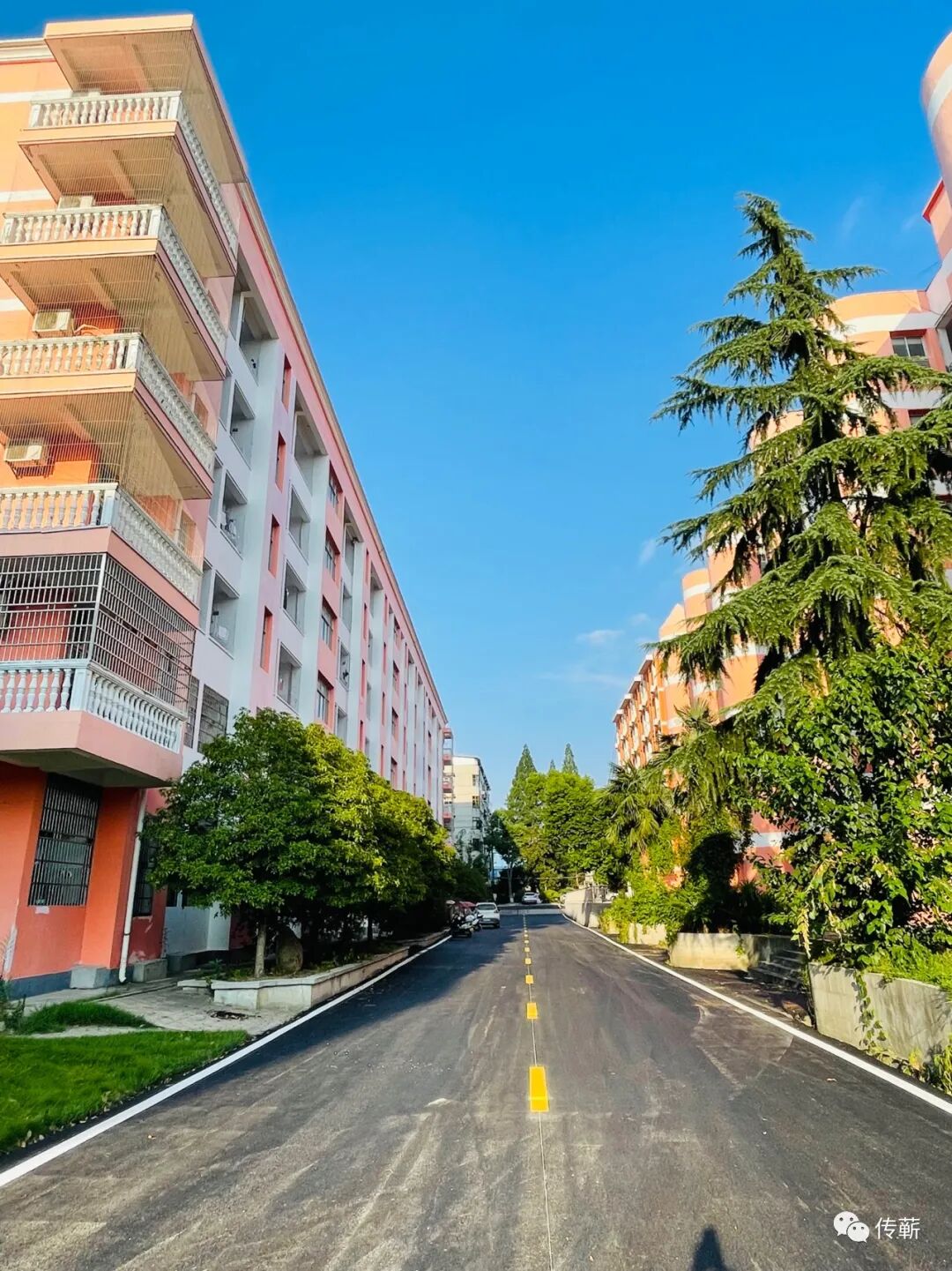 蕲春一中又变帅了