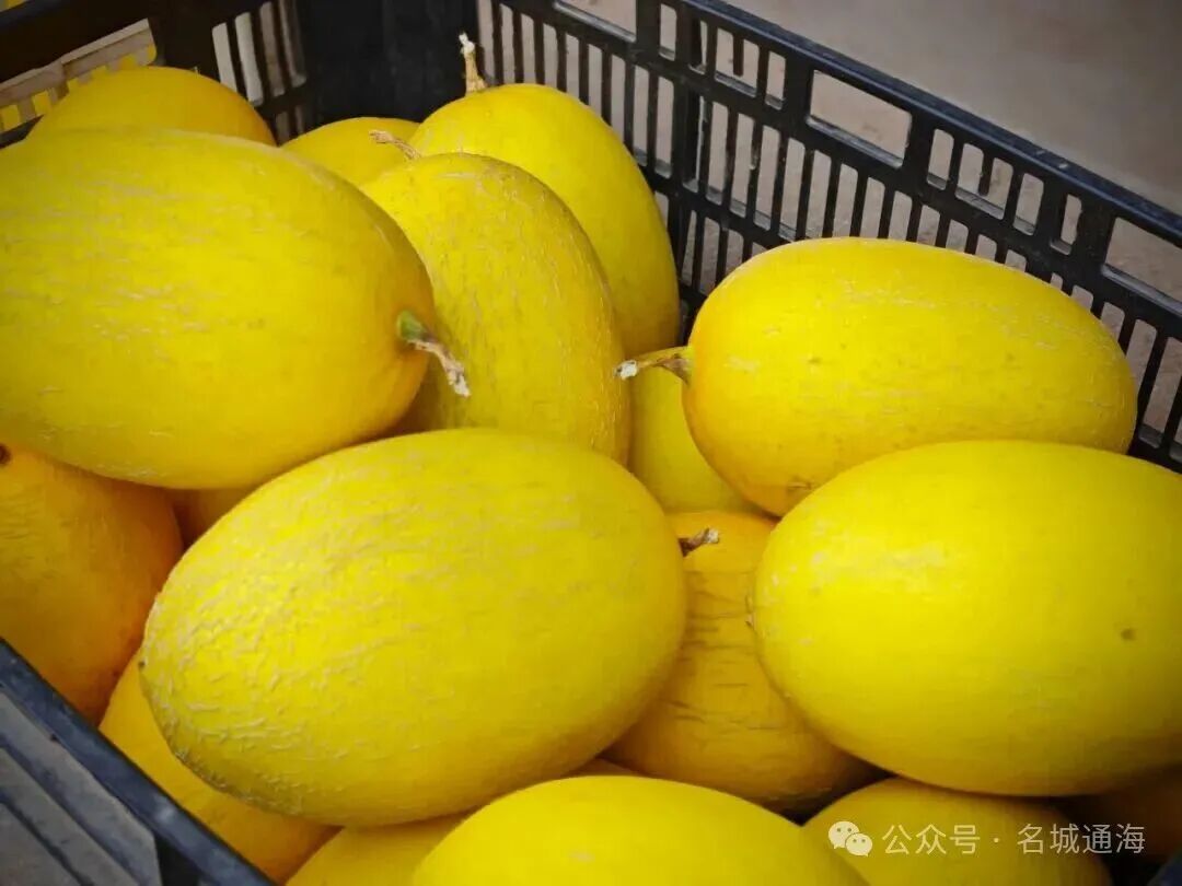 名城通海.jpg
