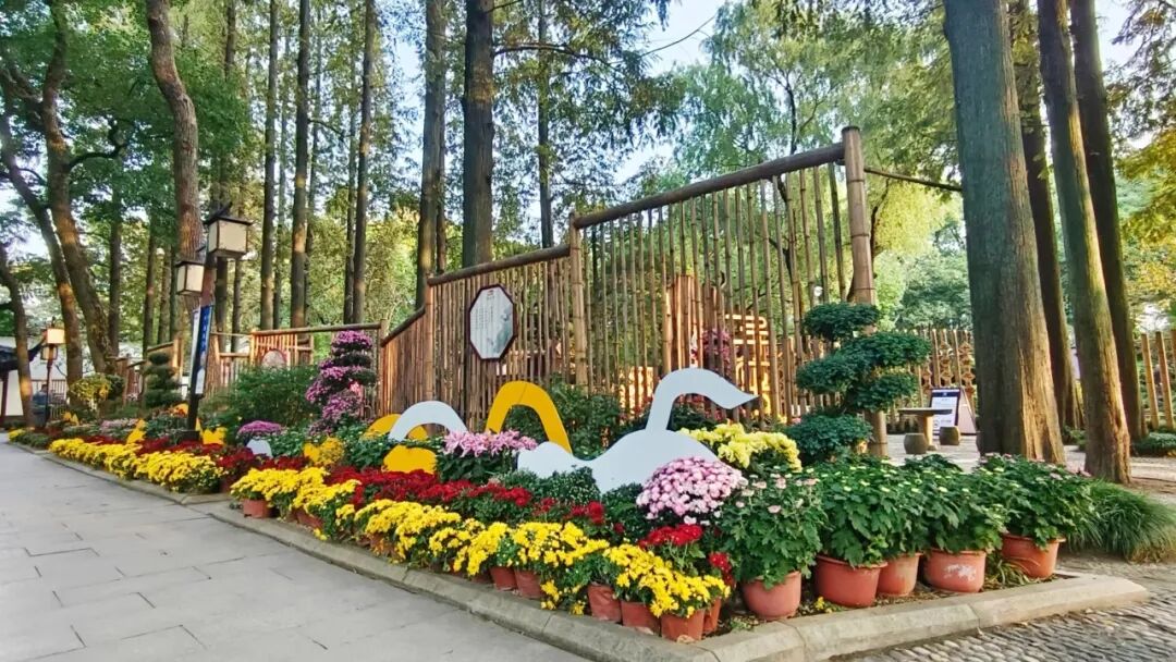 活动时间:10月21日——10月23日活动一:门票免费醉白池公园重阳节公园