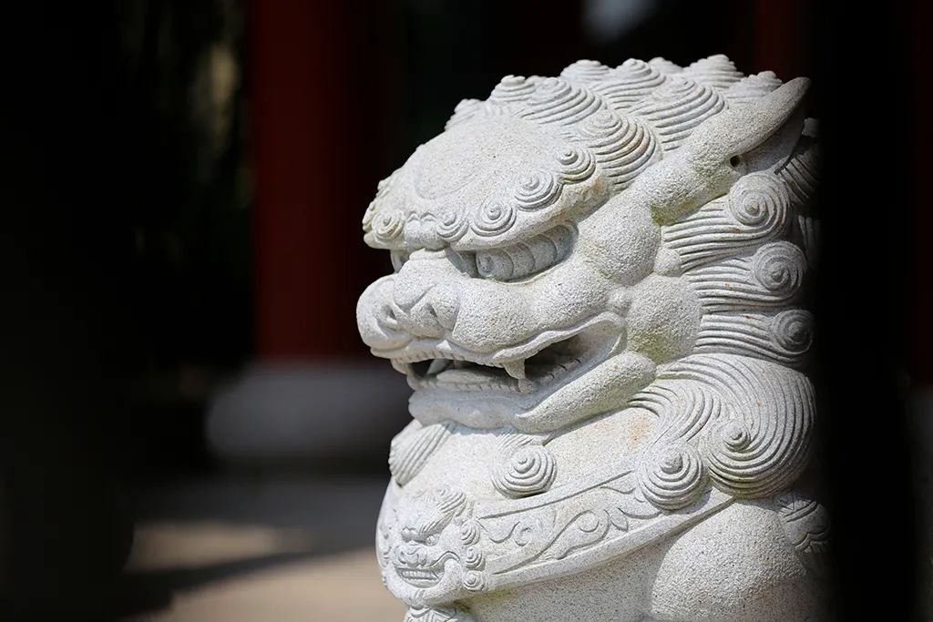 慈心悲愿 善待生命