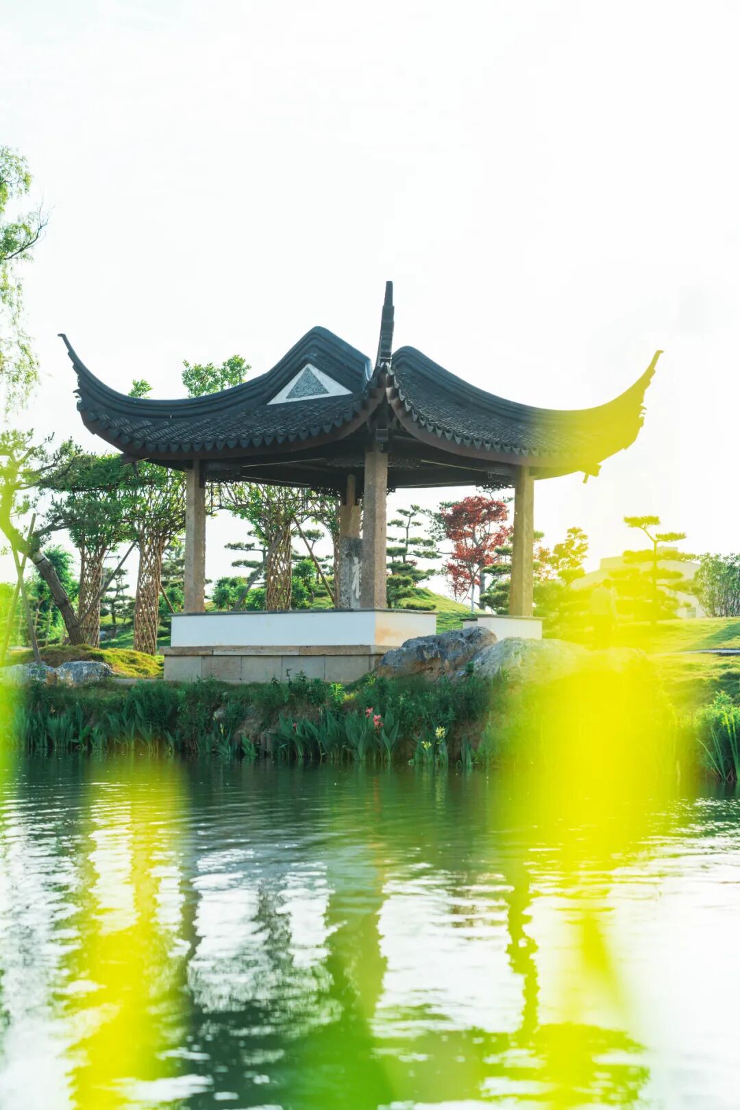 初夏苏州渭塘,风景皆可入画