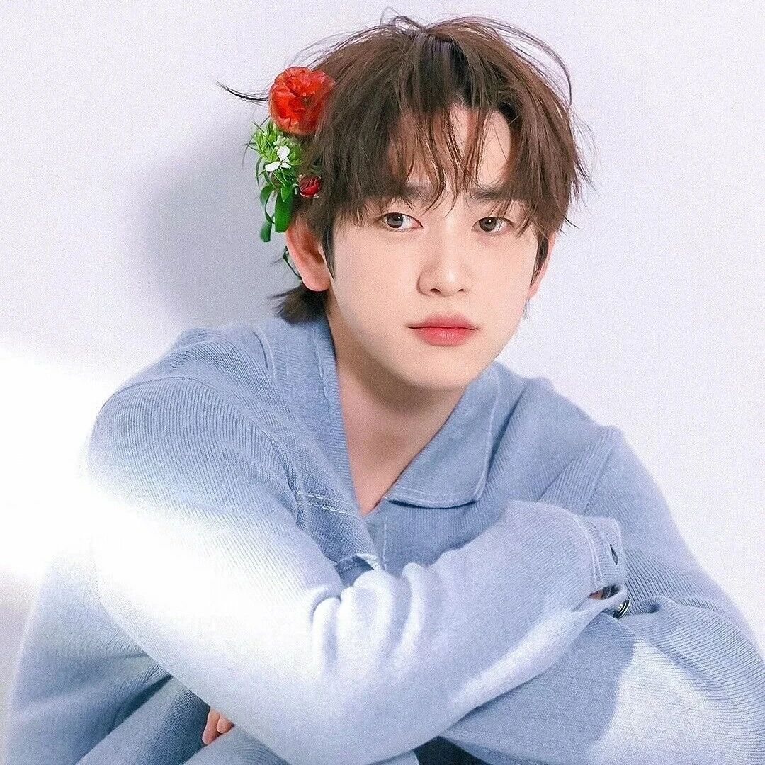 朴珍荣五月Solo回归在即,全力筹备新专辑引期待