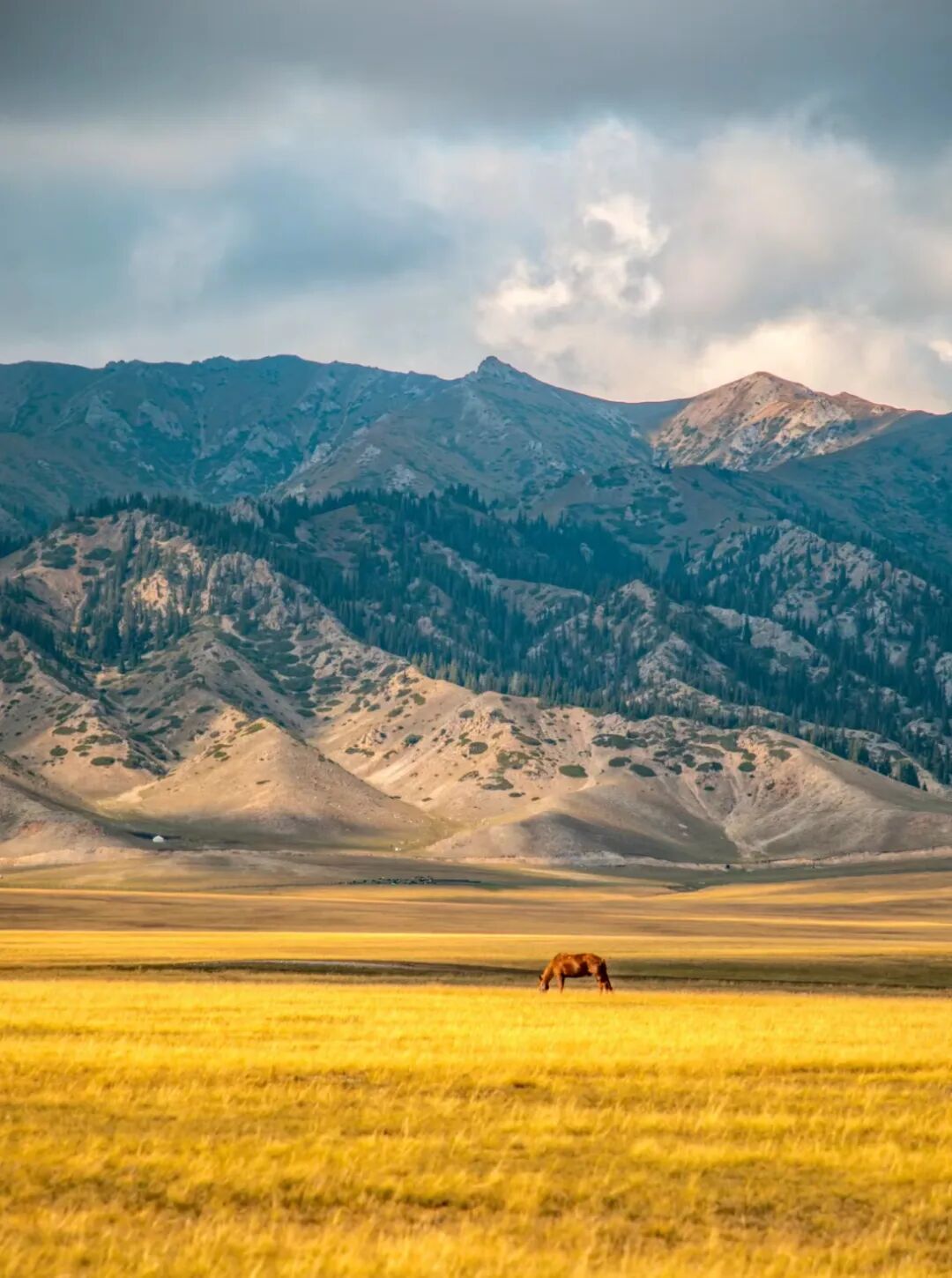 新疆公安摄影作品